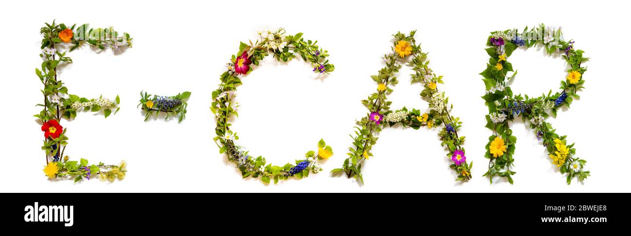 E-Car di parola di costruzione di lettera di fiore e di fiore Foto Stock