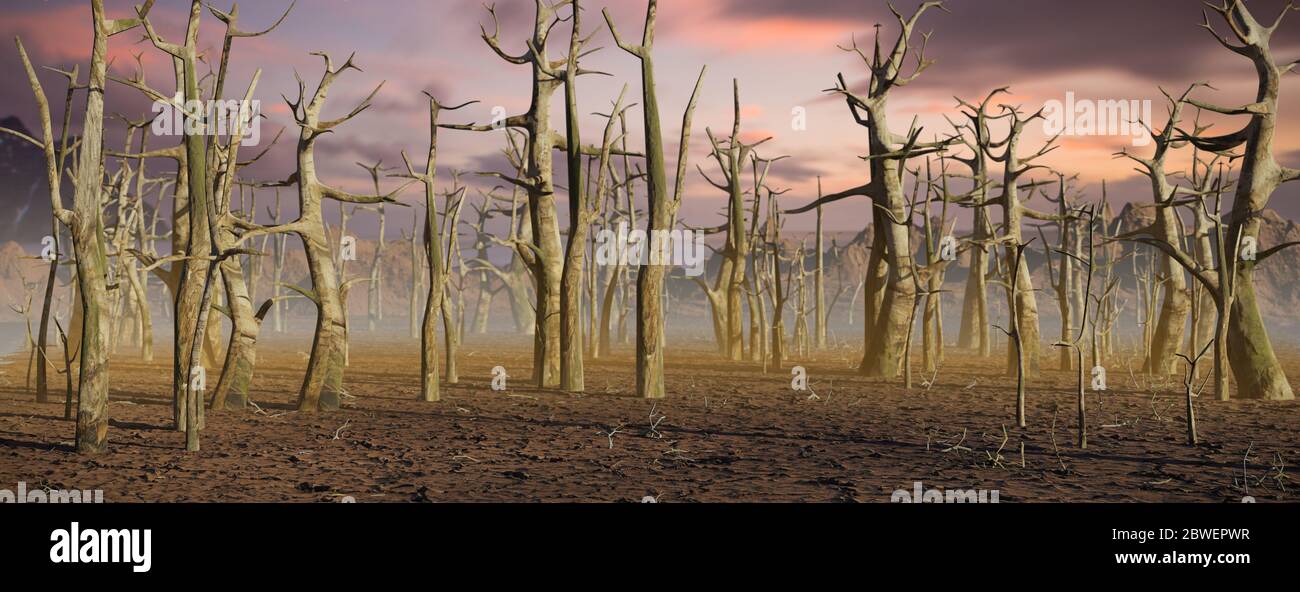 foreste morte, crisi del cambiamento climatico Foto Stock
