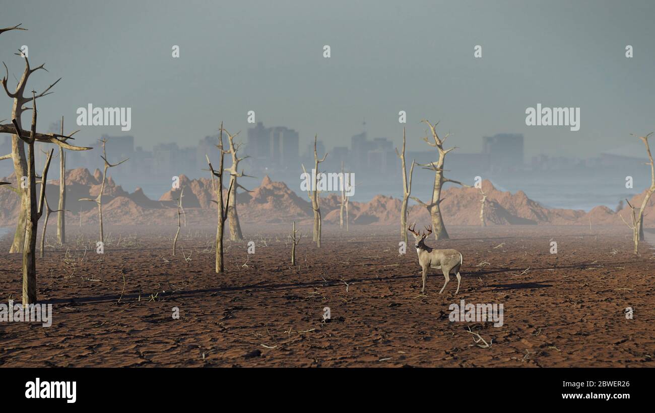 cervi in foresta morta, clima cambiamento scenario di crisi Foto Stock