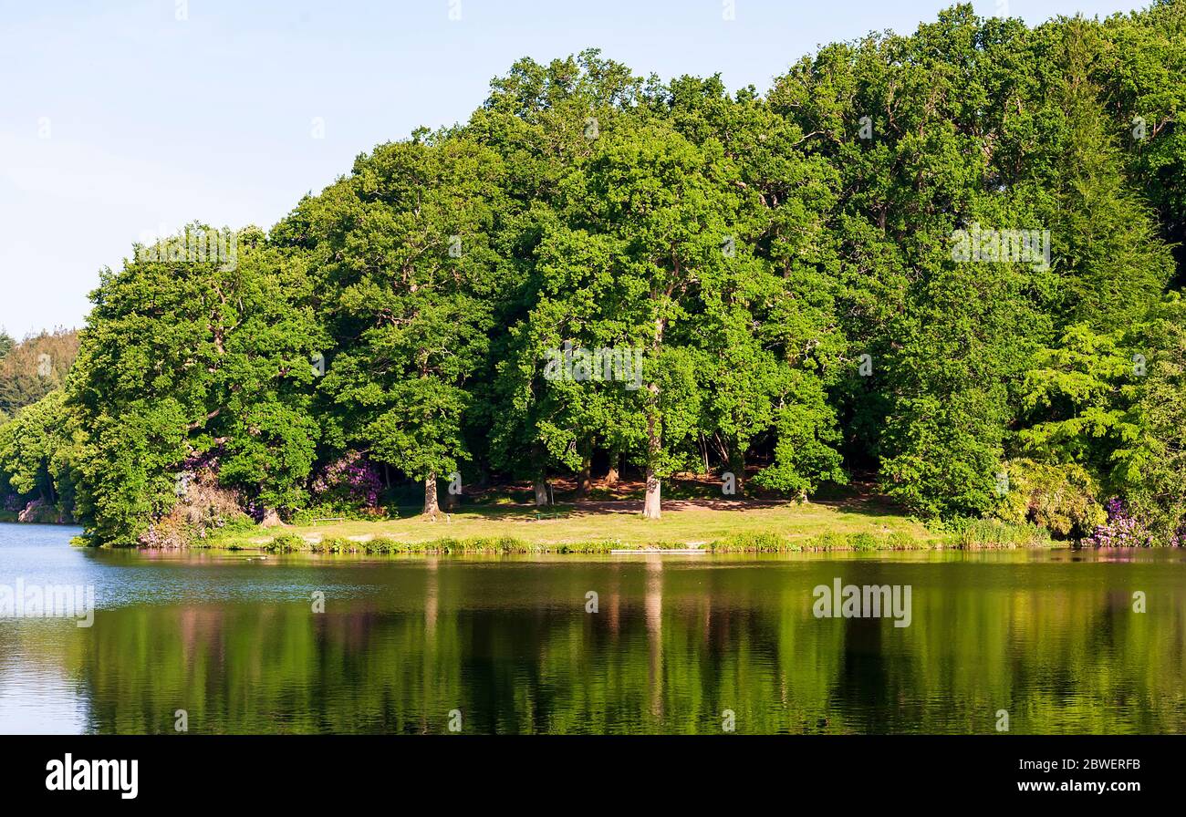 Mattina a piedi intorno Warminster-Shearwater Foto Stock