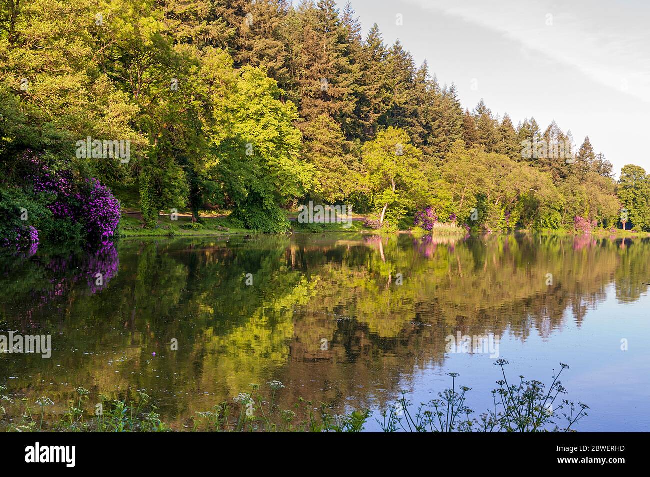 Mattina a piedi intorno Warminster-Shearwater Foto Stock
