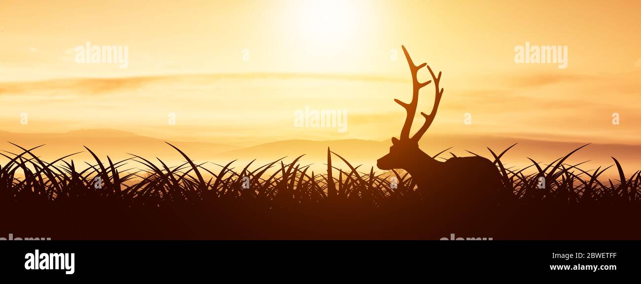 La silhouette dei cervi in esso si habitat all'alba o al tramonto in natura. Camminare nei cespugli Foto Stock