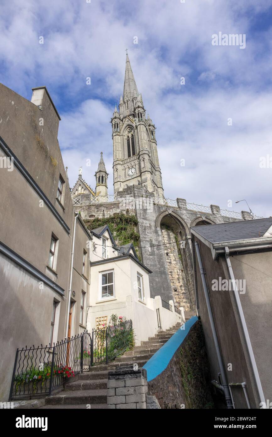 Scalini che conducono alla Chiesa Cattedrale di St Colman, Cattedrale di Cobh nella Repubblica di Cobh d'Irlanda Foto Stock