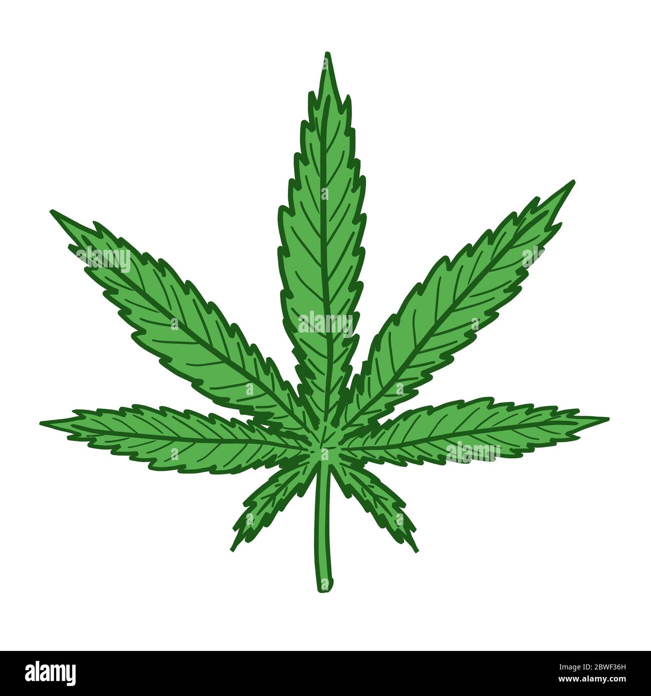Disegno foglia di marijuana. Semplice vettore simbolo canapa Immagine e  Vettoriale - Alamy