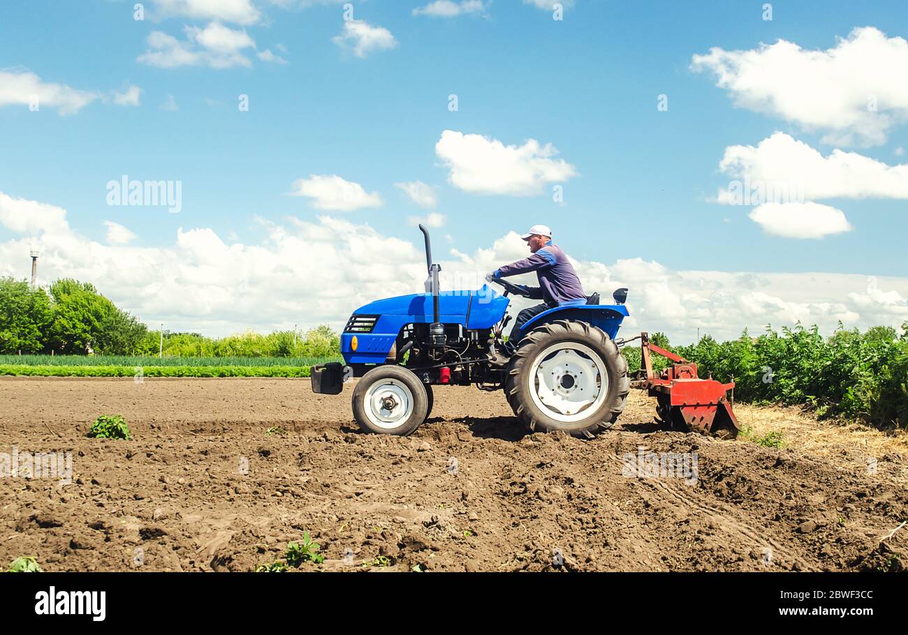L'agricoltore aziona un trattore con una fresatrice. Allenta, macina e mescola il terreno su campo piantagione. Preparazione del campo per la semina di raccolto nuovo. Allentamento su Foto Stock