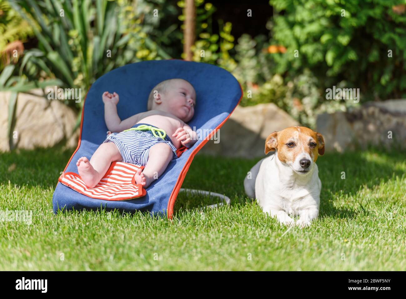 Baby boy si trova su una sedia a sdraio con cane sul prato verde. Rilassatevi e concetto di vacanza Foto Stock