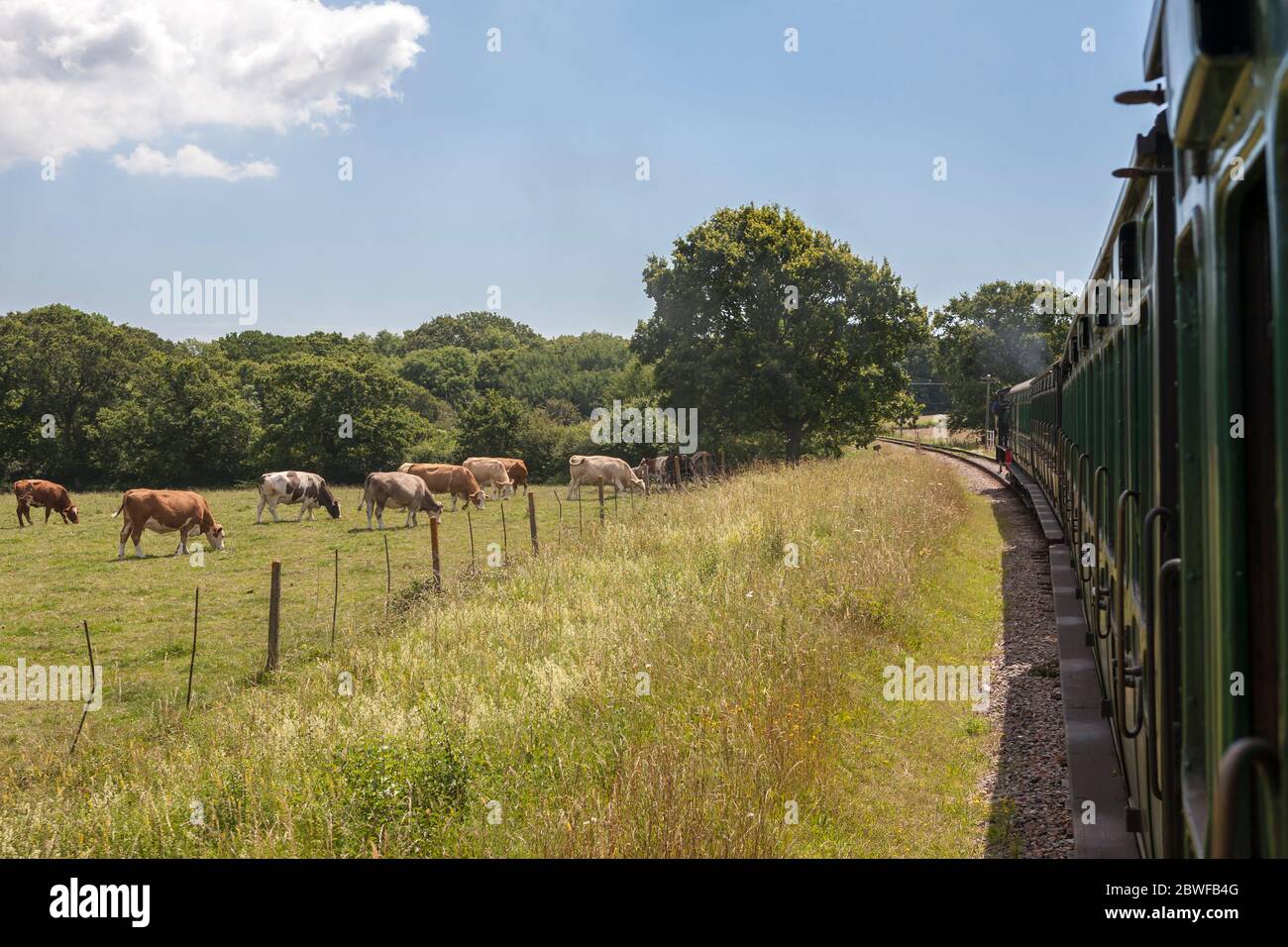 Idillio rurale nostalgico: A bordo di un treno sulla ferrovia a vapore dell'Isola di Wight tra la stazione di Wootton e Havenstreet, Isola di Wight, Inghilterra, Regno Unito Foto Stock