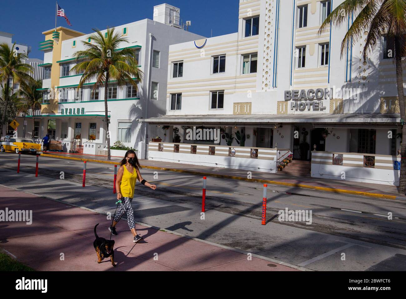 Una donna mascherata cammina un cane oltre il Beacon Hotel su Ocean Drive, South Beach, Miami Florida. La strada è chiusa al traffico a causa del Coronavirus. Foto Stock
