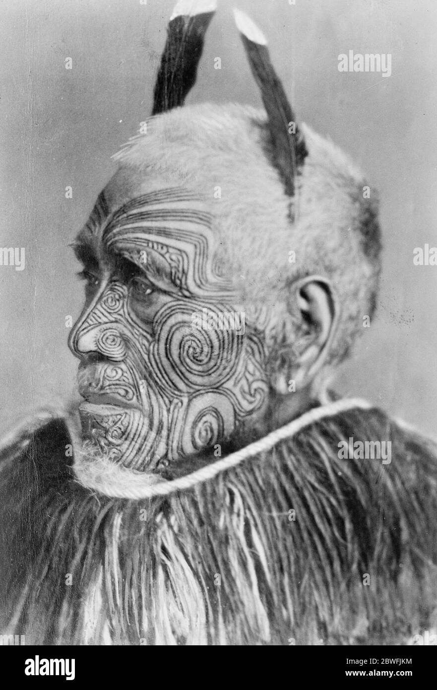 Un dipinto ad olio vivo . Uno studio notevole dalla Nuova Zelanda . Incontrare un Maori così ornato come questo sta diventando sempre più raro , tatuando essendo principalmente confinato alle donne . 3 luglio 1923 Foto Stock