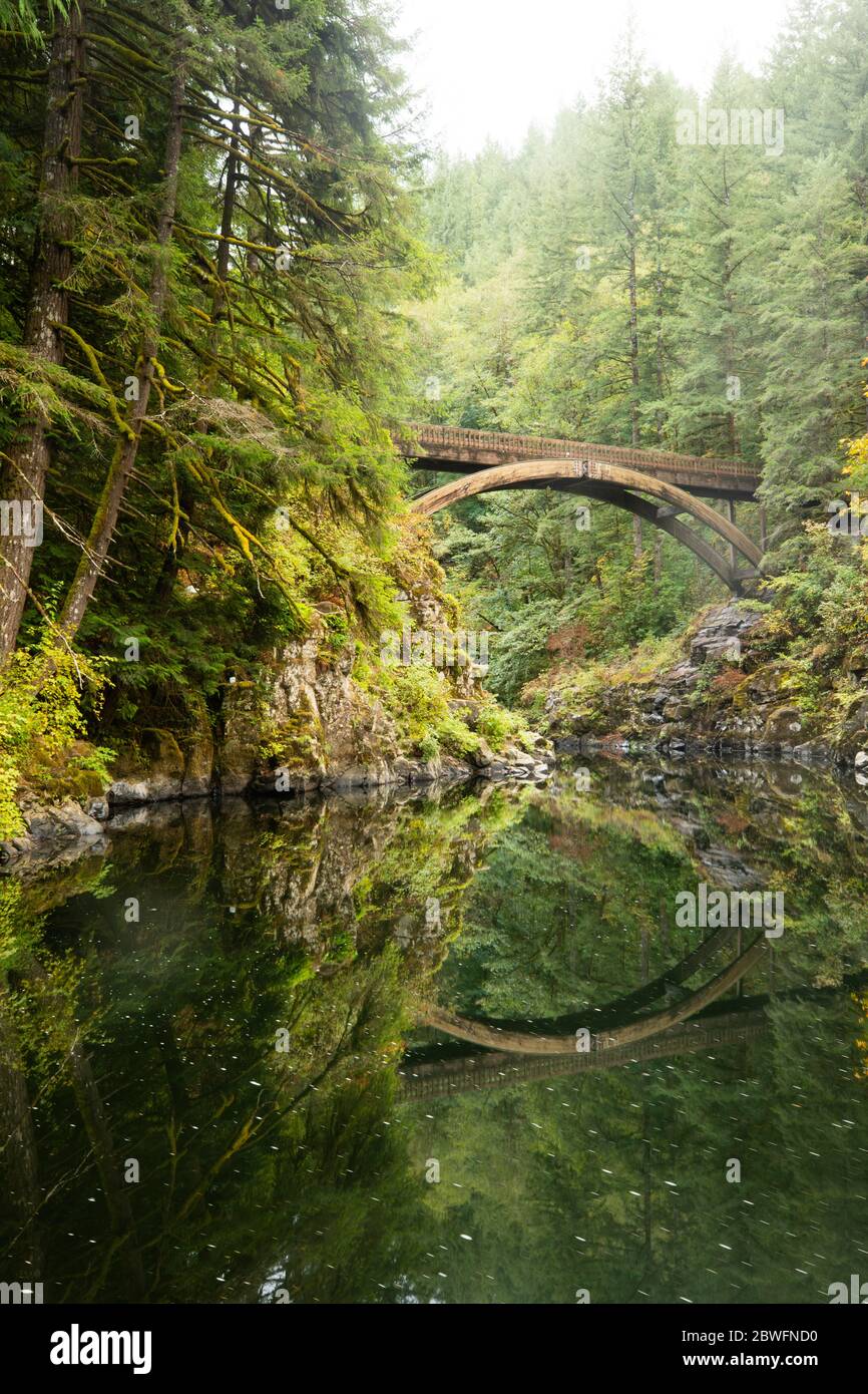 Ponte nella foresta che si riflette nel fiume, Portland, Oregon, Stati Uniti Foto Stock