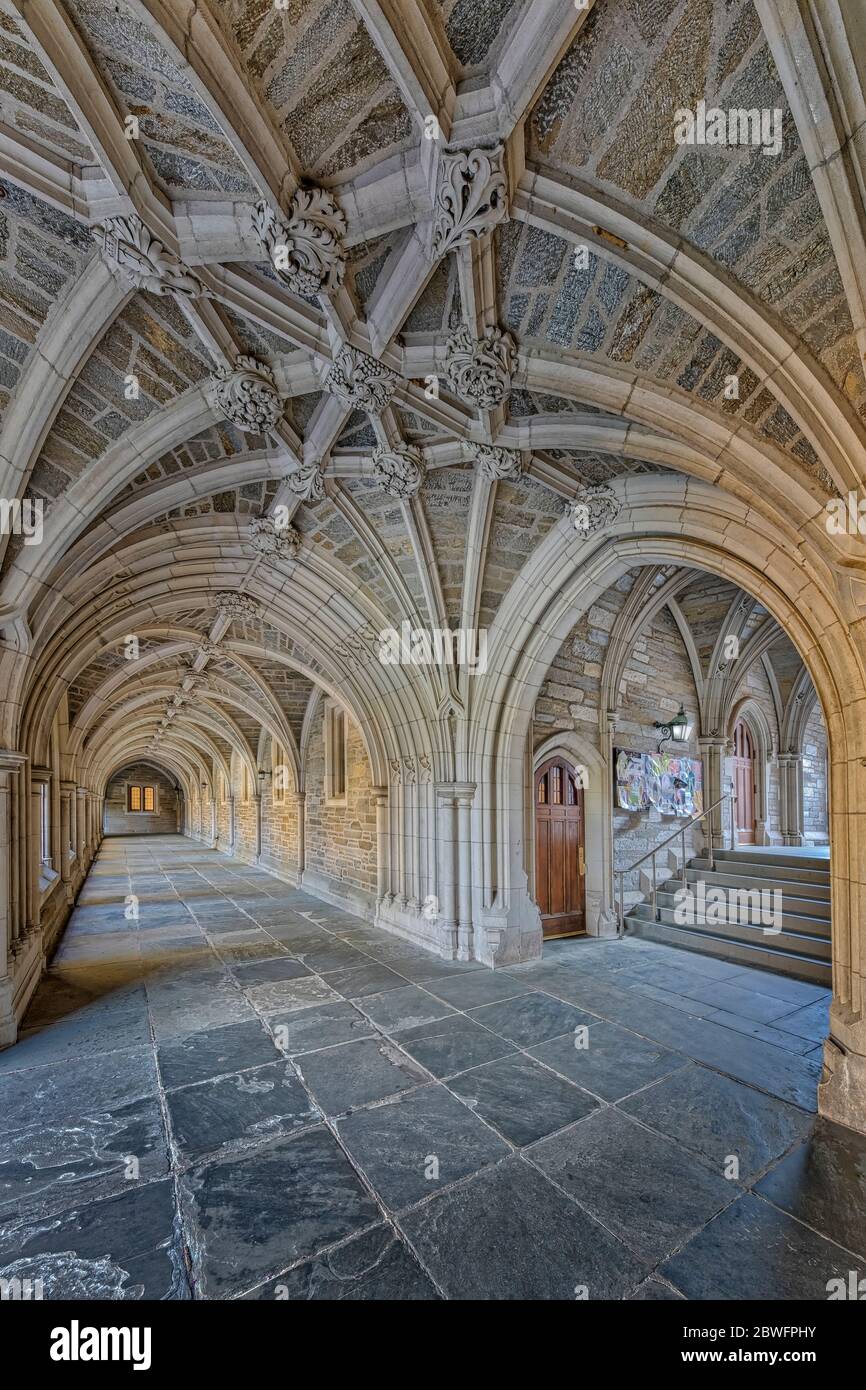 Princeton University lega privata di edera a Princeton, New Jersey Foto Stock