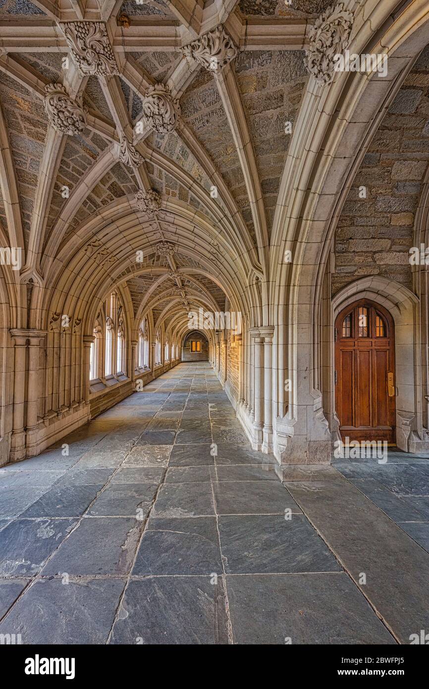 Princeton University lega privata di edera a Princeton, New Jersey Foto Stock