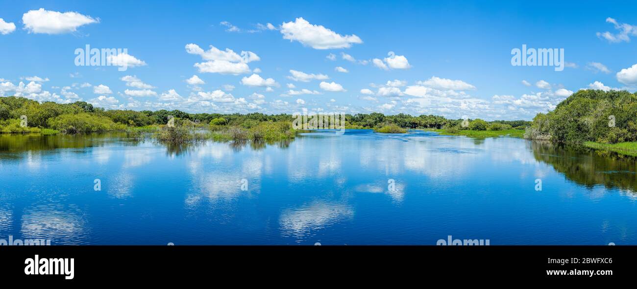 Paesaggio panoramico del Myakka River state Park, Sarasota, Florida, Stati Uniti Foto Stock