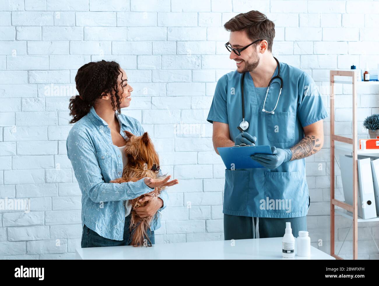 Veterinario e proprietario di animali domestici con Yorkshire terrier presso l'ufficio medico Foto Stock