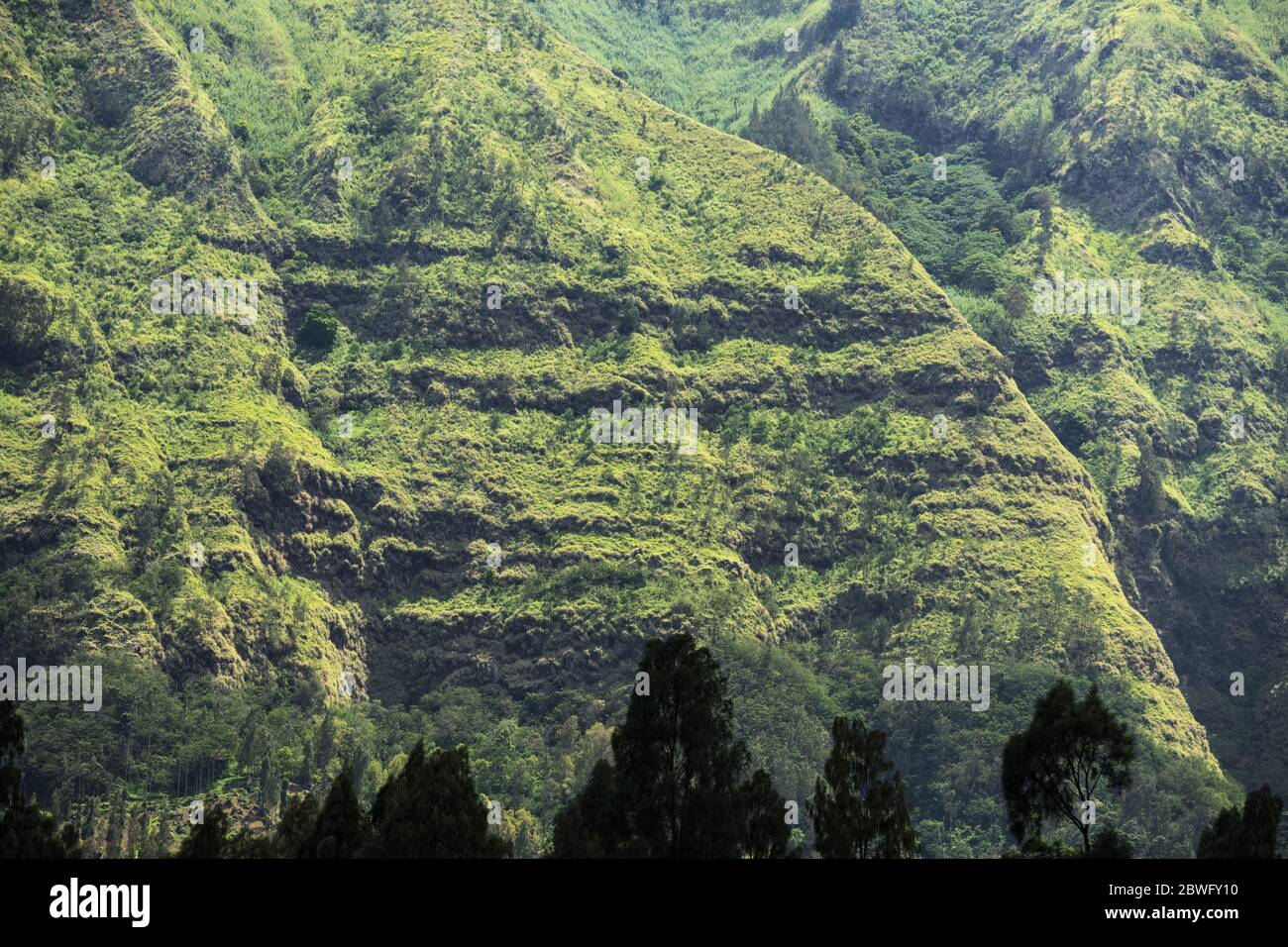 Meravigliosa vista della green mountain range illuminato durante una giornata di sole. Cemoro Lawang, Java Orientale, Indonesia. Foto Stock