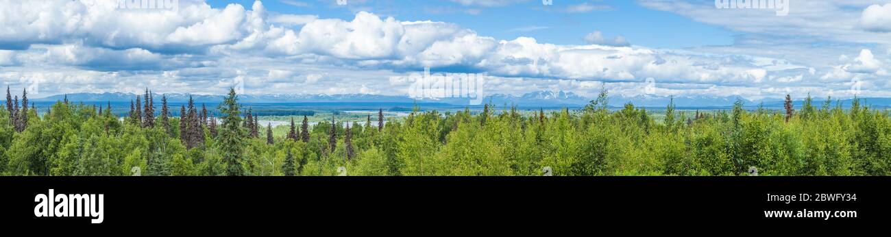 Montagne di gamma da Talkeetna, Alaska, Stati Uniti Foto Stock