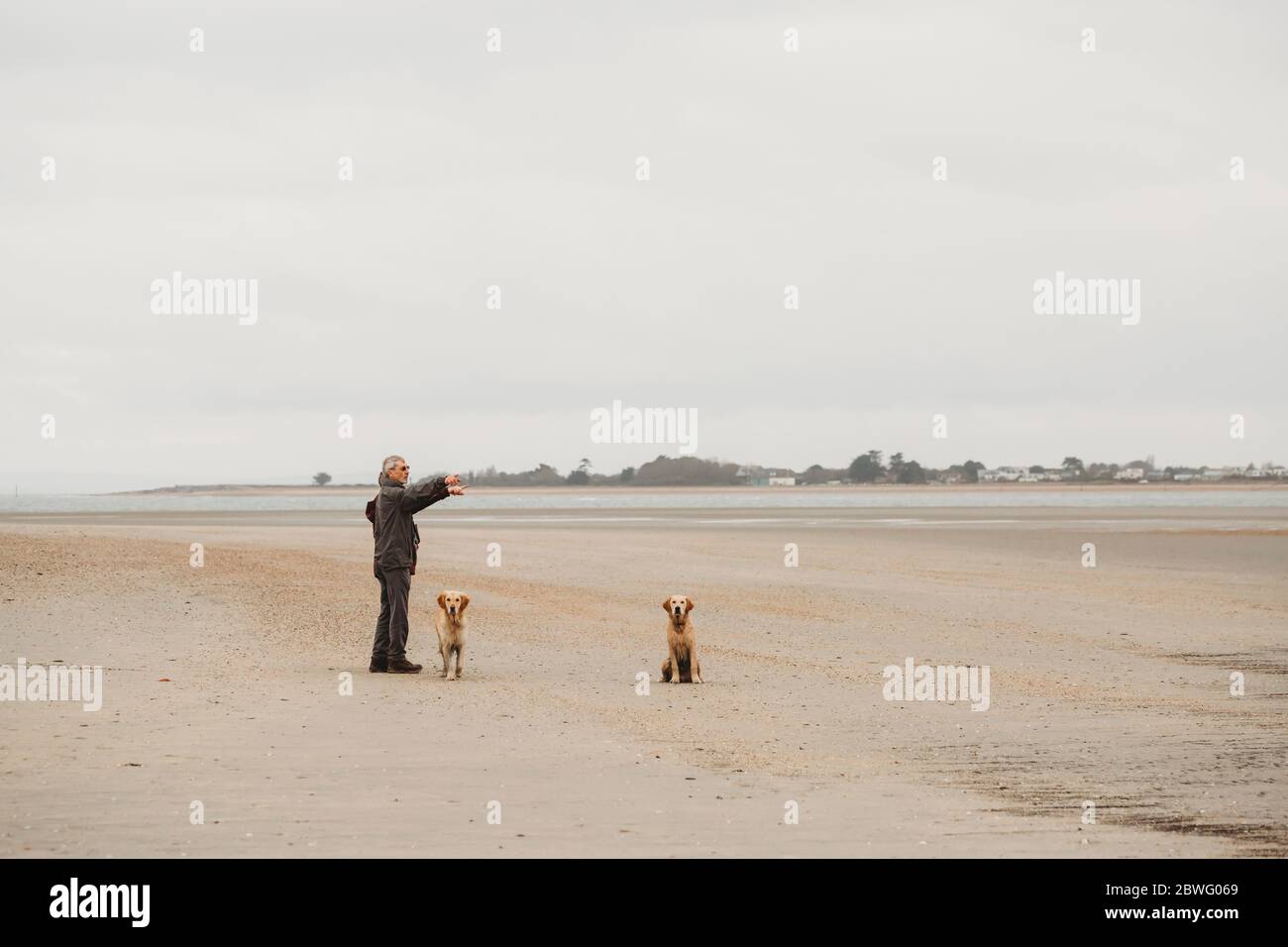 Coppia anziana con due cani sulla spiaggia che puntano fuori dalla macchina fotografica Foto Stock