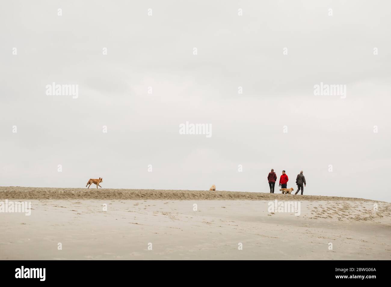 Famiglia con cani che camminano lungo la spiaggia sabbiosa in inverno giorno Foto Stock