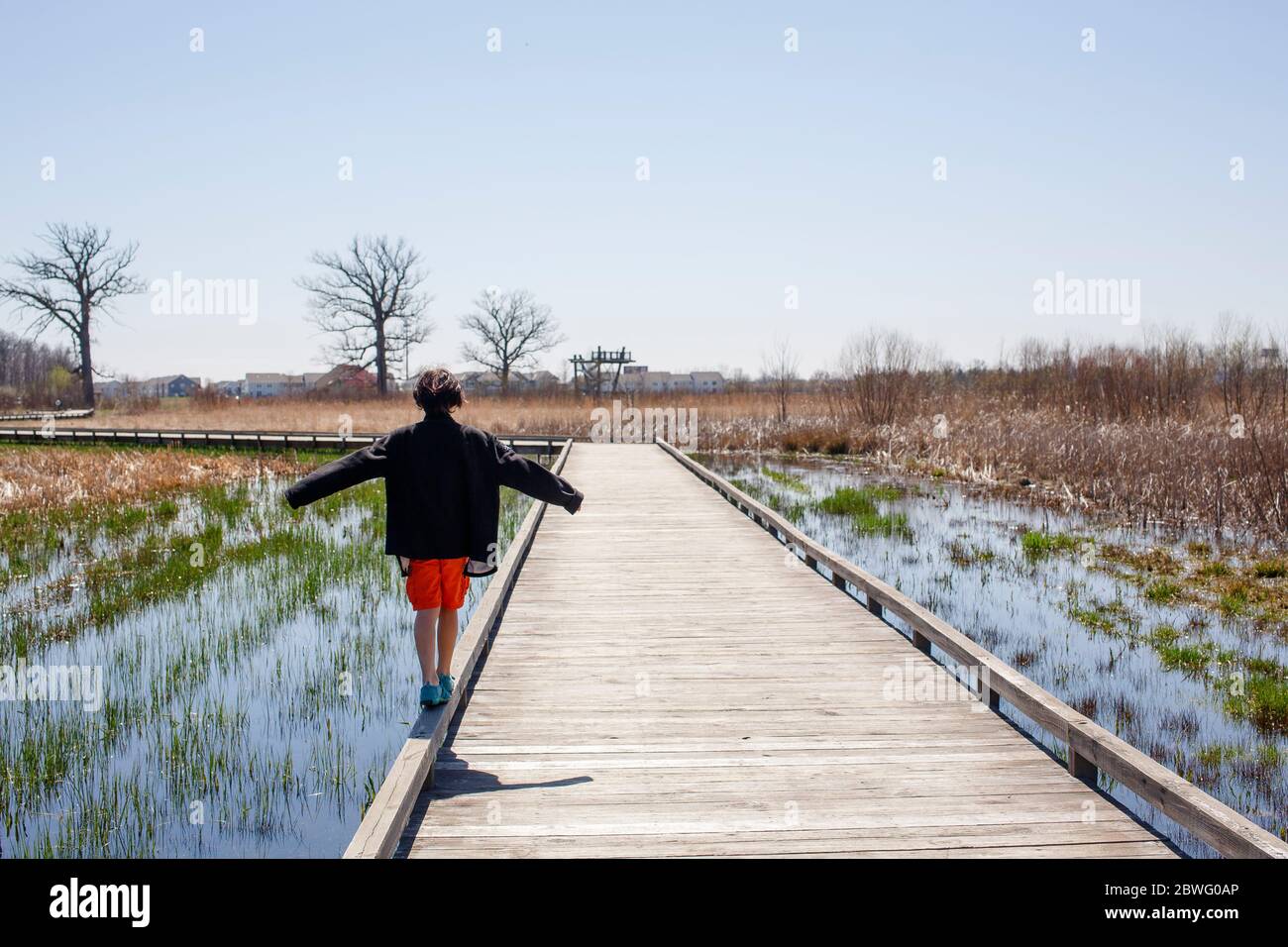 Un ragazzo cammina sul bordo di un ponte di legno Attraverso le zone umide in primavera Foto Stock