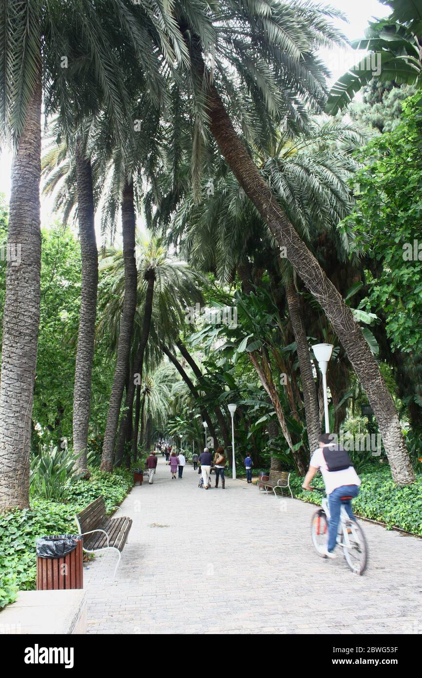 El Parque, Málaga, Andalusia, Spagna. Foto Stock