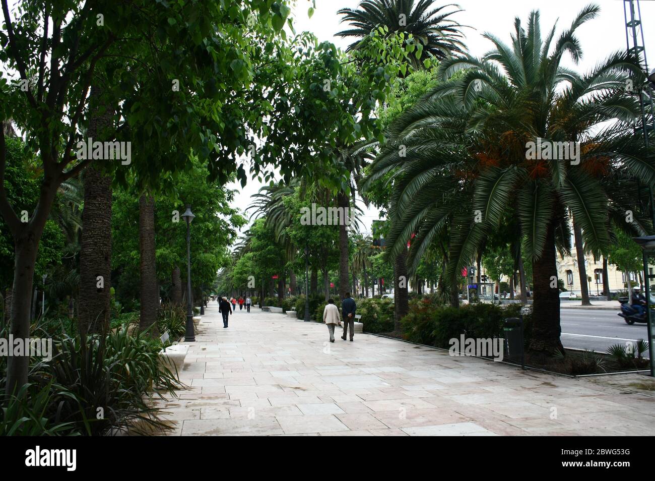 El Parque, Málaga, Andalusia, Spagna. Foto Stock