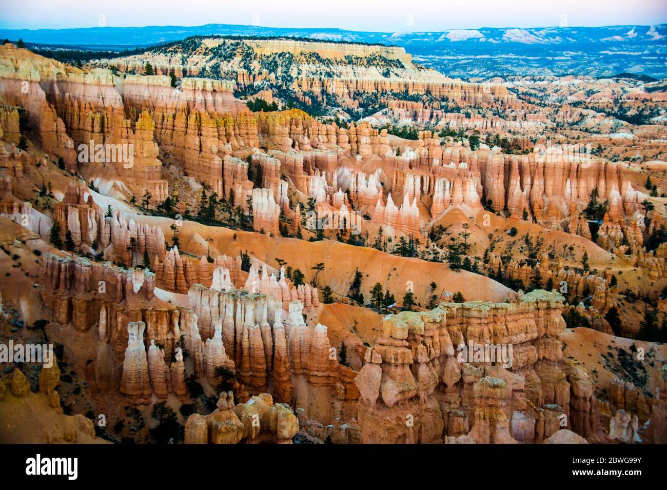 Eroded formazioni rocciose del Bryce Canyon, Utah, USA Foto Stock