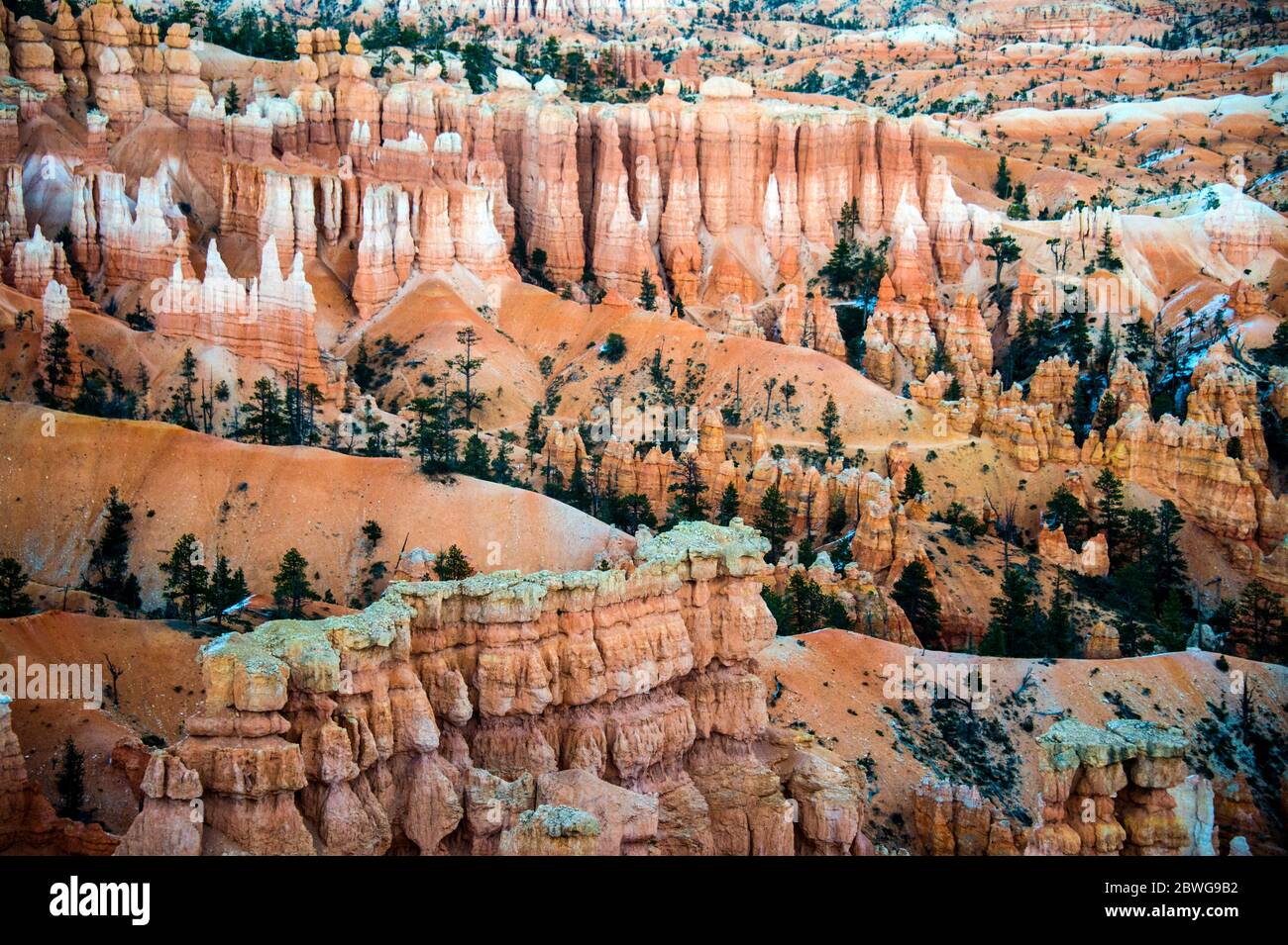 Eroded formazioni rocciose del Bryce Canyon, Utah, USA Foto Stock