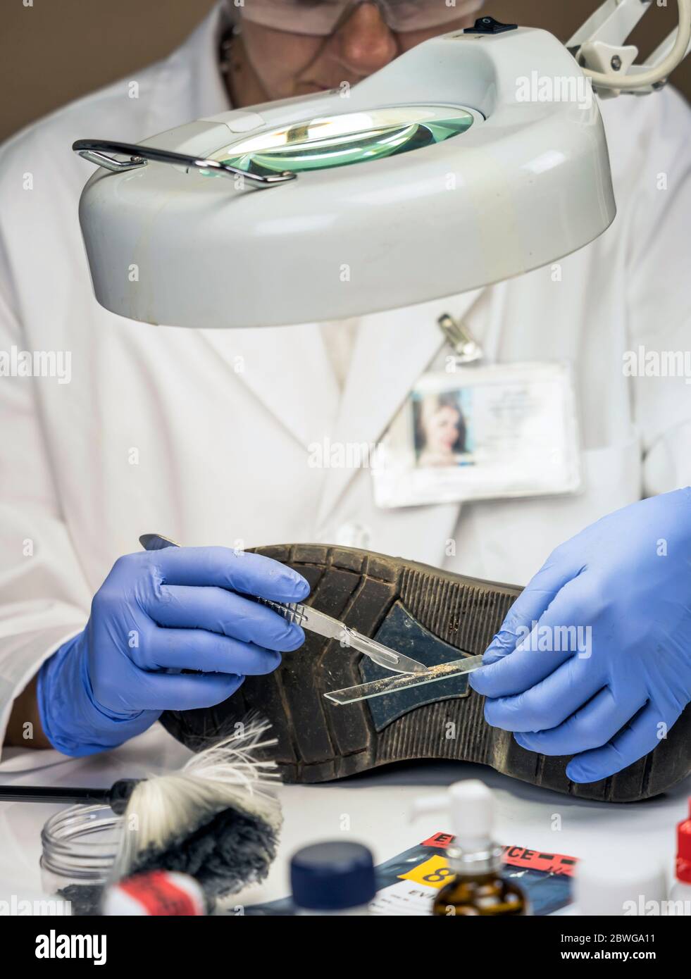 Specializzato ufficiale di polizia analizza la massa in una vittima di omicidio cassone con una pinzetta, immagine concettuale Foto Stock