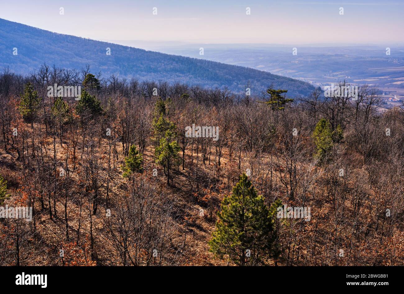 Le pendici del monte Kosmaj si trova 40 chilometri a sud di Belgrado, la capitale della Serbia Foto Stock