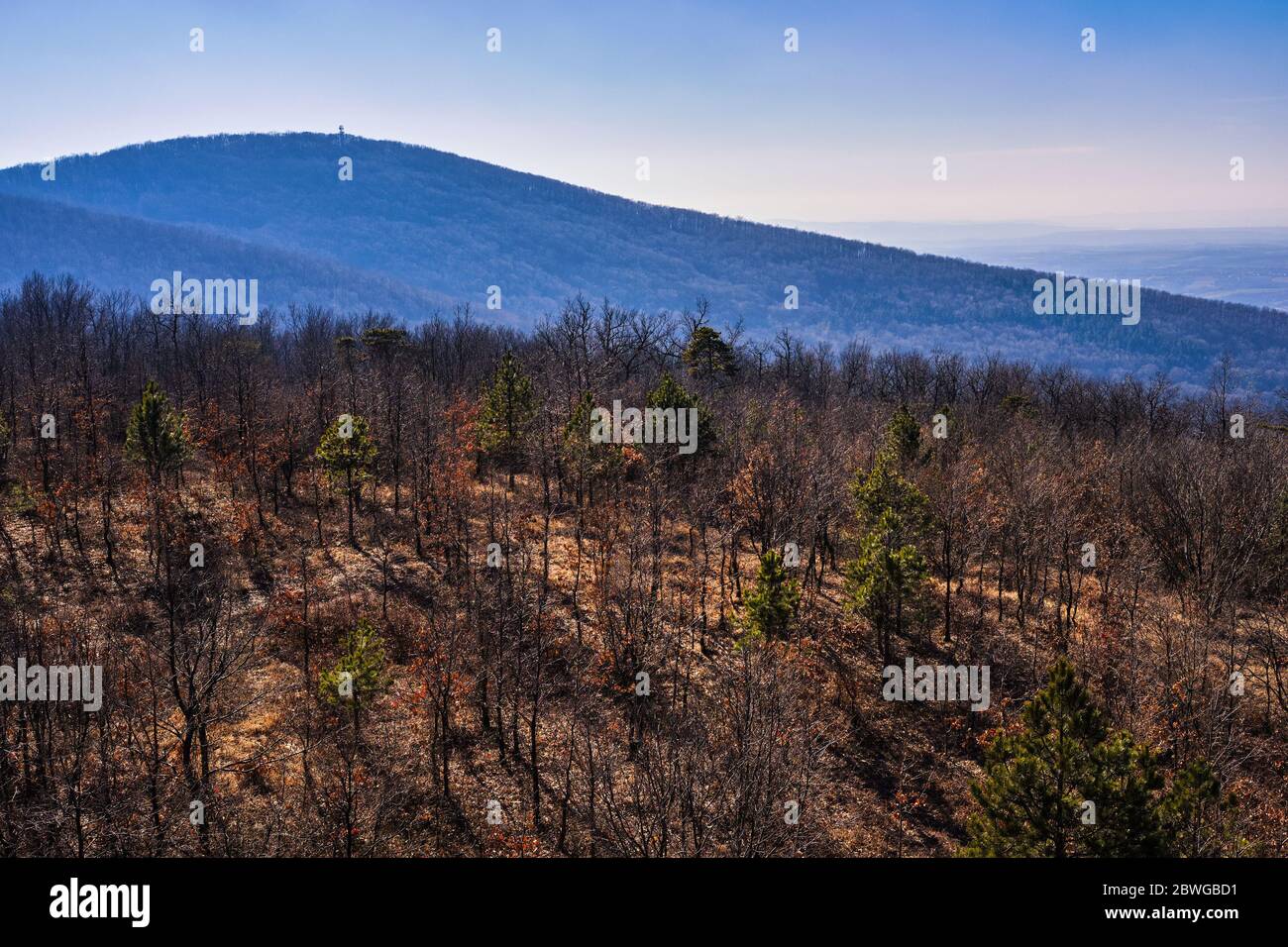 Le pendici del monte Kosmaj si trova 40 chilometri a sud di Belgrado, la capitale della Serbia Foto Stock