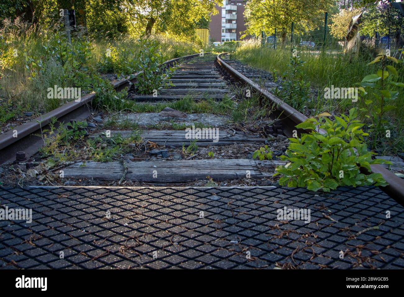 i binari ferroviari disutilizzati sono cresciuti con piante Foto Stock