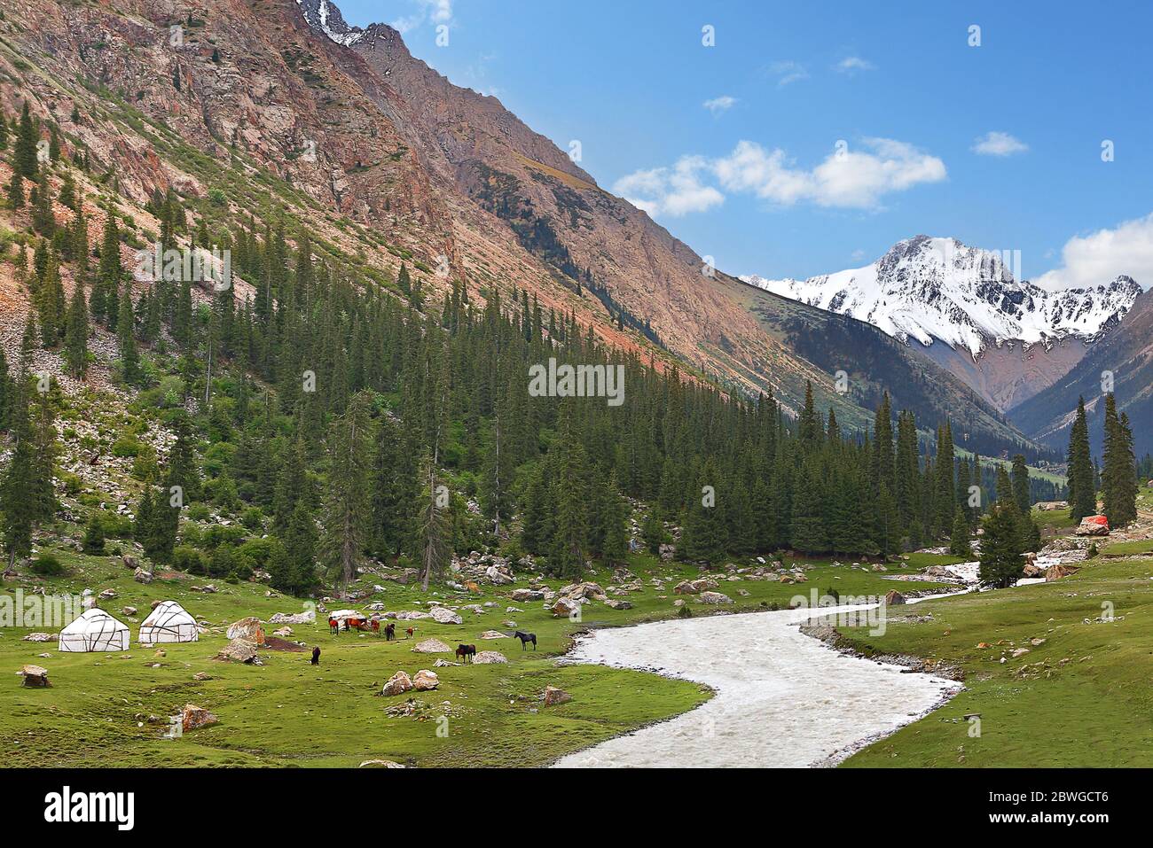 Vista sulla gola di Barskaun con tende e cavalli nomadi, Kirghizistan Foto Stock