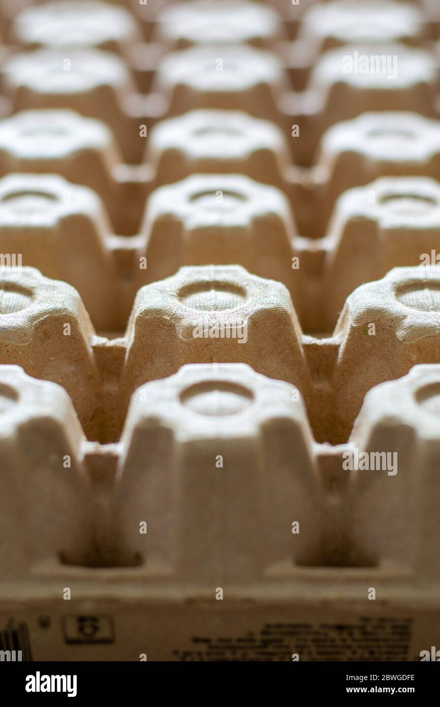 Un sacco di cartoni di cartone uovo vuoti in una fila. Fondo dei vassoi delle uova. Foto Stock