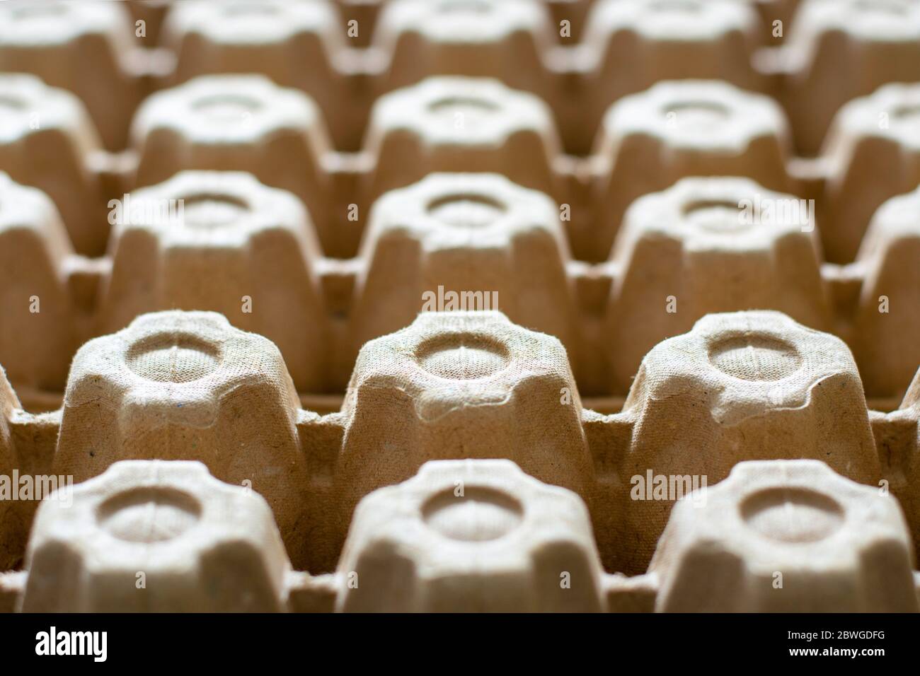 Un sacco di cartoni di cartone uovo vuoti in una fila. Fondo dei vassoi delle uova. Foto Stock
