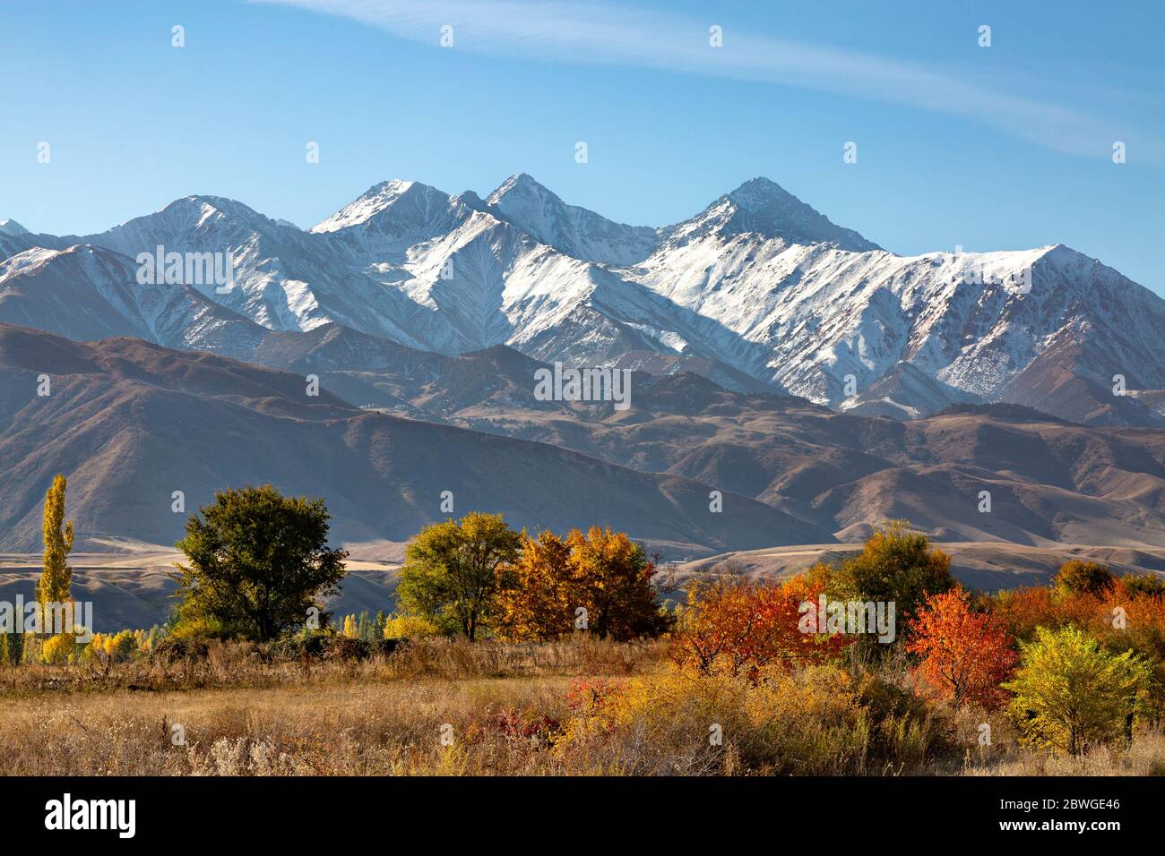 Colori autunnali a Bishkek, Kirghizistan con le montagne Tien Shan sullo sfondo, in autunno Foto Stock