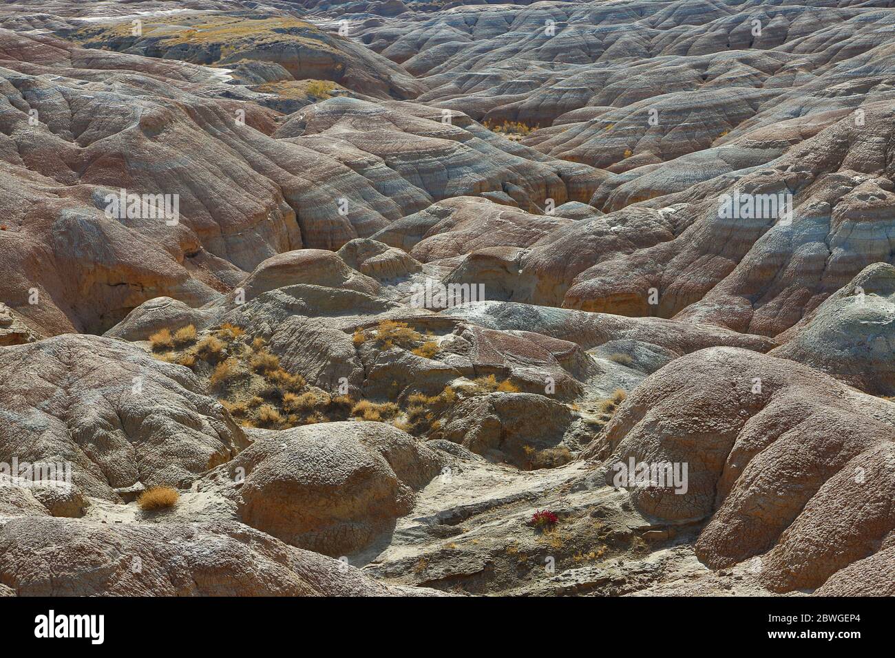 Terreni estremi e formazioni geologiche nell'area delle Montagne di Aktau, conosciuta anche come Montagne bianche, in Kazakistan Foto Stock