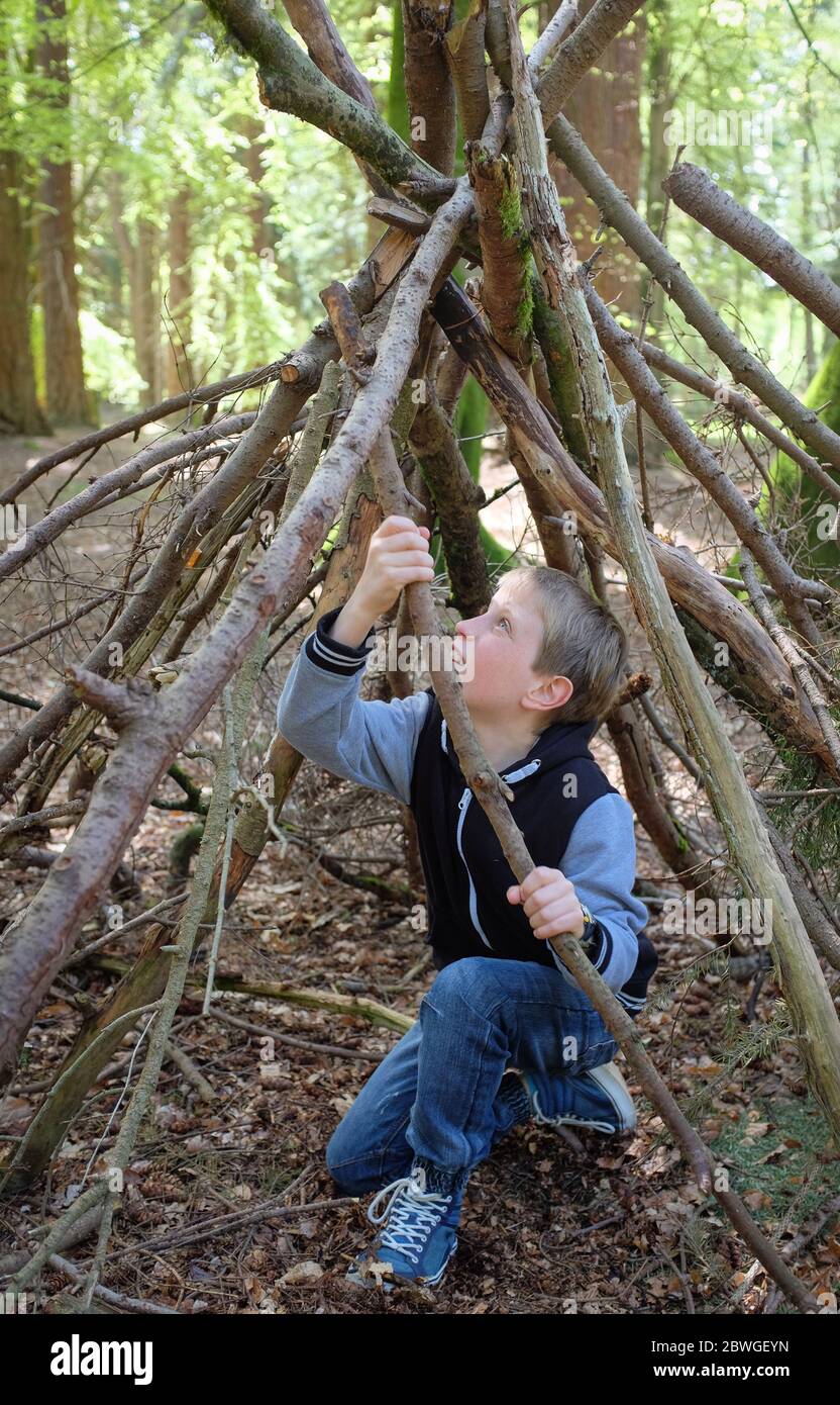 Un ragazzo che fa una tana nei boschi da rami caduti nella New Forest, Hampshire Foto Stock