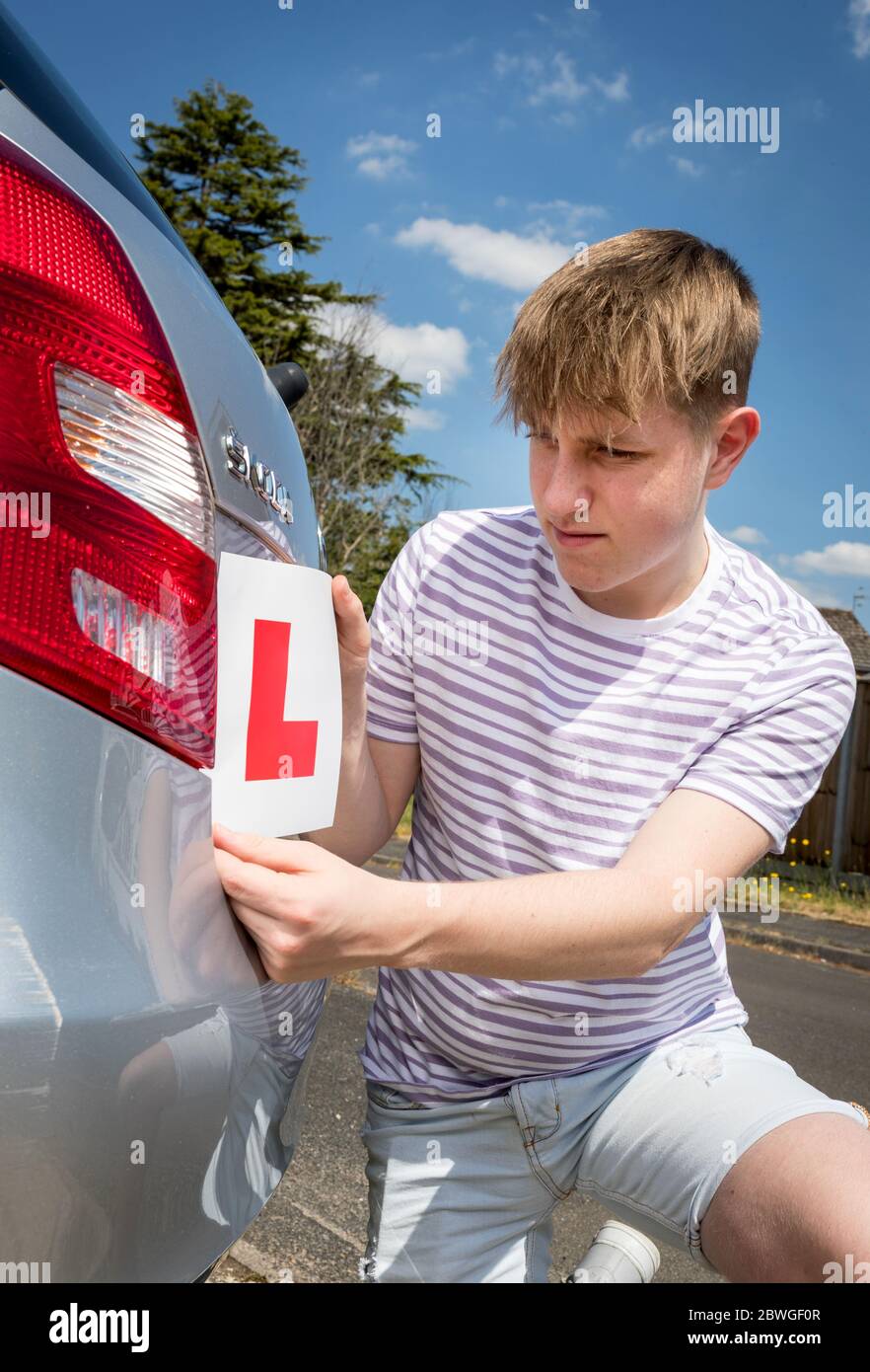 Teenage allievo driver aggiungendo le piastre L alla sua auto genitori pronto per una lezione. Foto Stock