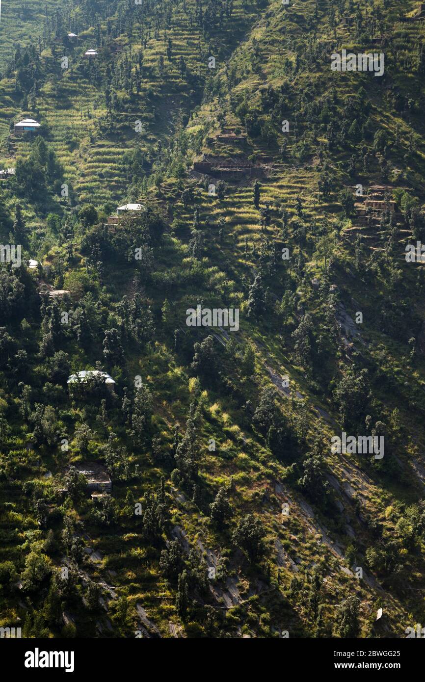 Impressionante, case locali e ripido campo terrazzato a scogliera, trekking montagna Elum, Swat, Provincia di Khyber Pakhtunkhwa, Pakistan, Asia meridionale, Asia Foto Stock