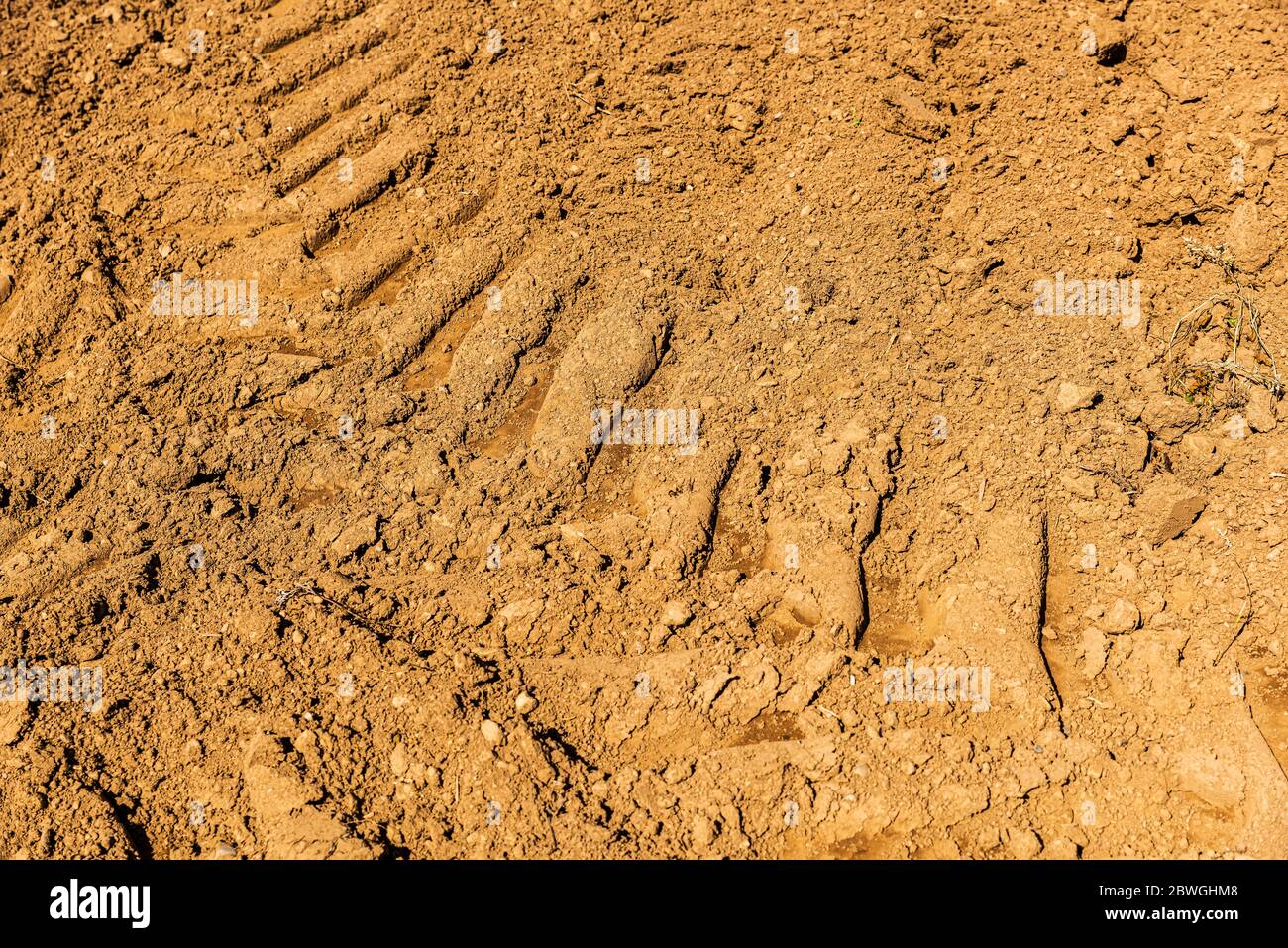 Gli pneumatici dei trattori stampano a terra in campagna Foto Stock