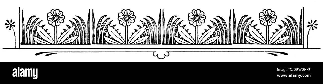 Ornamento astratto, separatore di capitolo in un libro. Illustrazione del 19 ° secolo. Sfondo bianco. Foto Stock