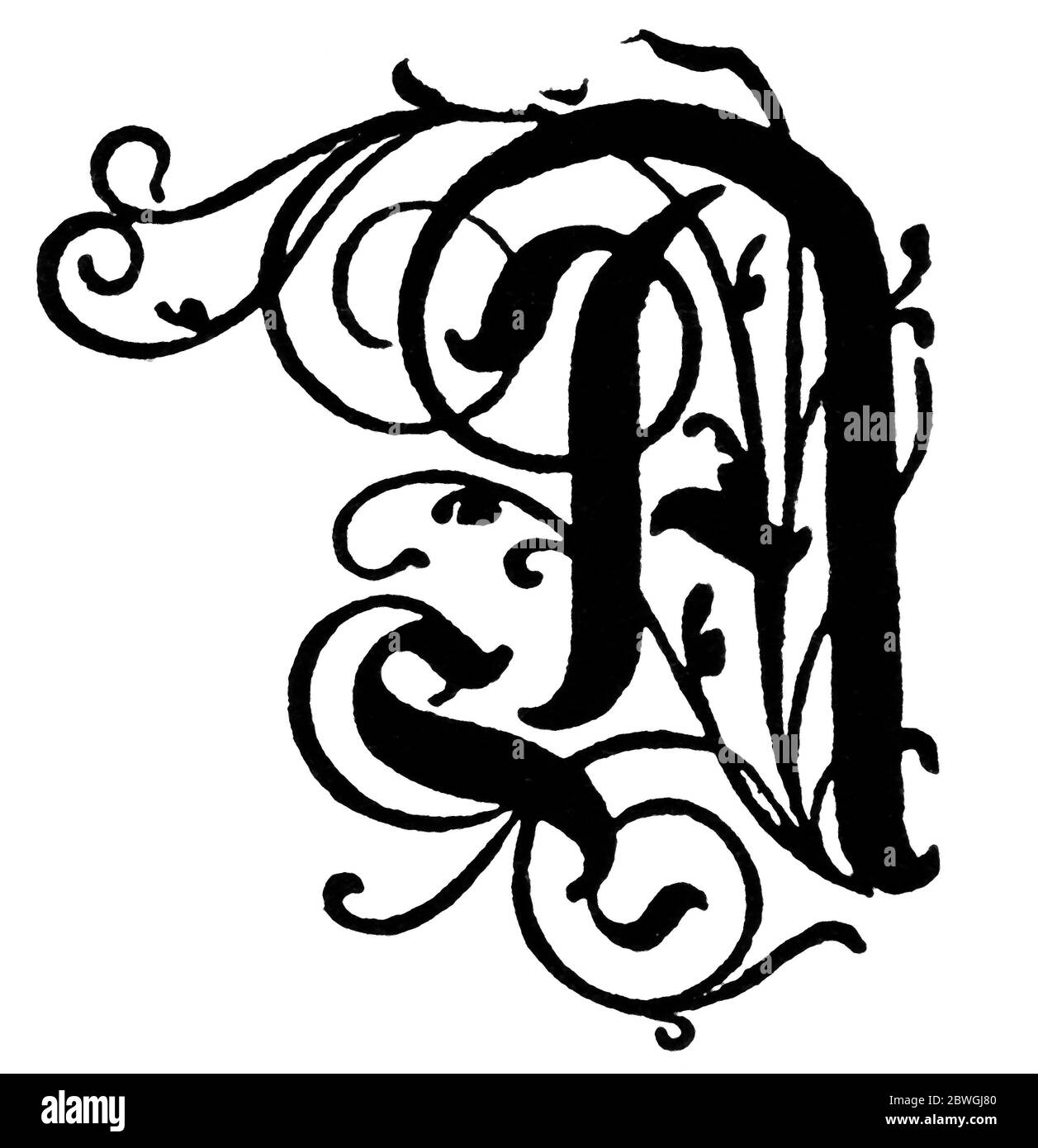 Lettera maiuscola A, stilizzata in ornamento floreale. Illustrazione del 19 ° secolo. Sfondo bianco. Foto Stock