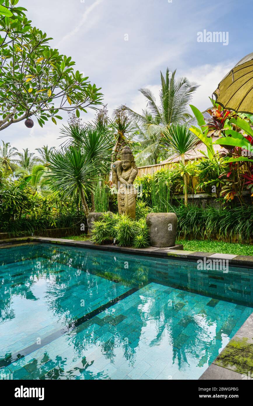 Giardino sul cortile posteriore con piscina e accogliente gazebo vicino a  casa tradizionale balinese in affitto, Ubud, Indonesia Foto stock - Alamy
