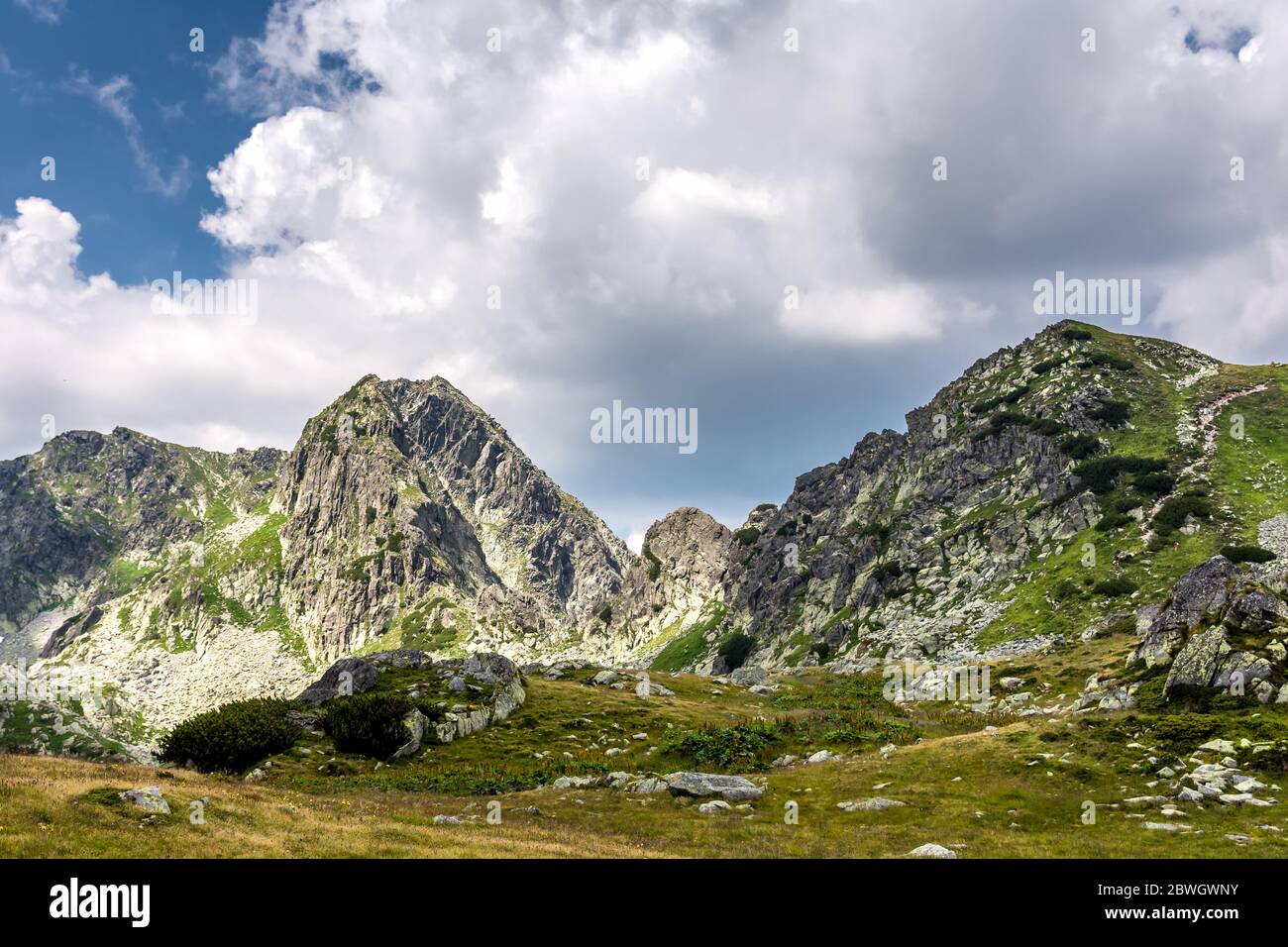 Cima rocciosa di montagna dal Parco Nazionale di Retezat, Romania Foto Stock