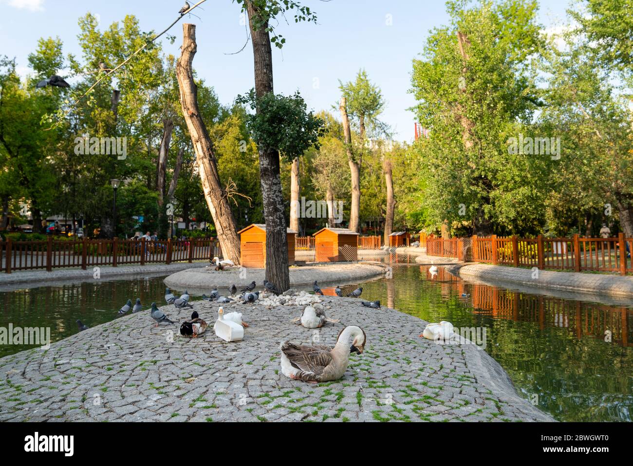 Il Kugulu Park è un luogo popolare in cui godersi la giornata Foto Stock