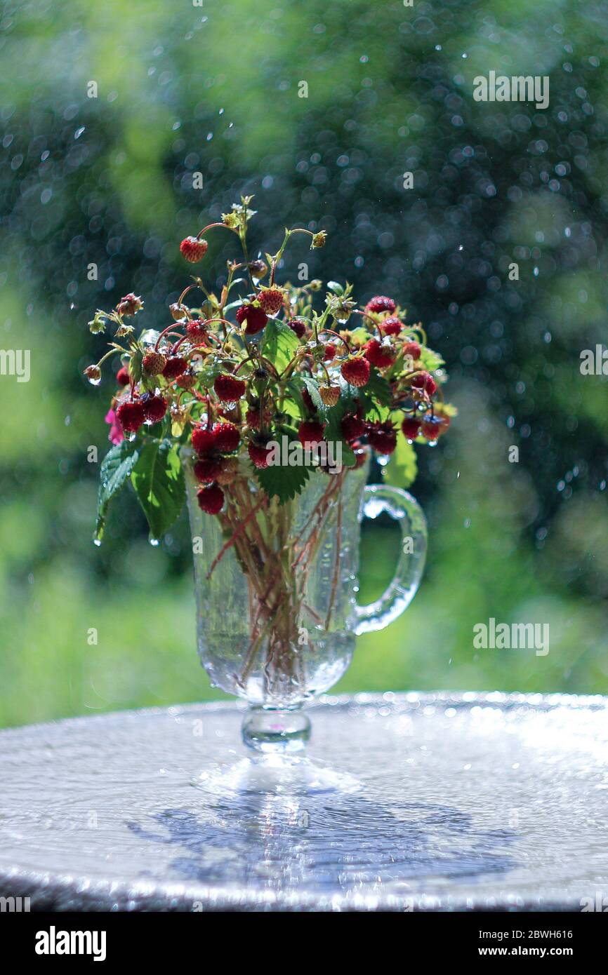 Bouquet di fragole selvatiche in vetro su sfondo verde bokeh Foto Stock