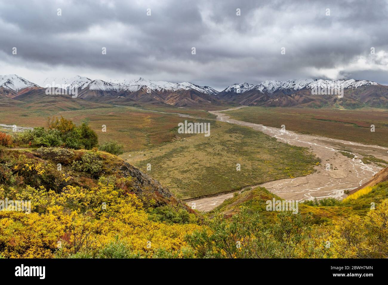 Paesaggio nel parco nazionale di Denali, Alaska Stati Uniti Foto Stock