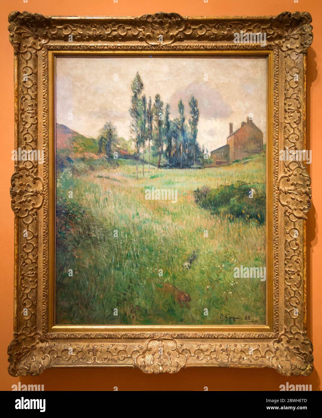 Perros corriendo en el prado. Paul Gauguin. Museo Nacional Thyssen-Bornemisza. Madrid. España Foto Stock