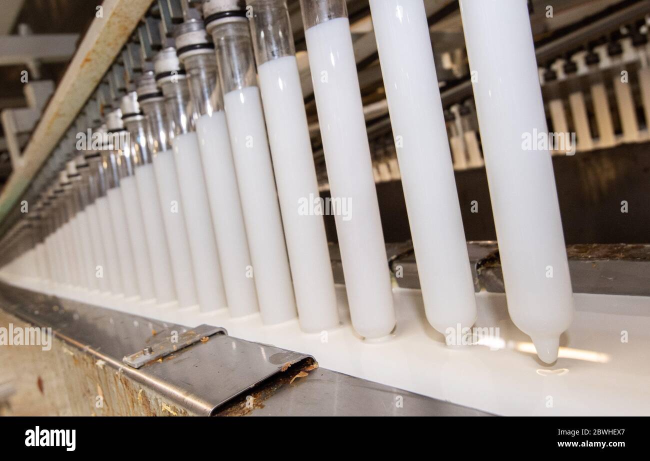 Sarstedt, Germania. 20 Maggio 2020. I corpi vetrosi si immergere nel lattice durante la produzione dei preservativi nello stabilimento CPR GmbH. Secondo il boss dell'azienda Kesselring, CPR è uno dei maggiori produttori di preservativi in Europa. Credit: Julian Stratenschulte/dpa/Alamy Live News Foto Stock