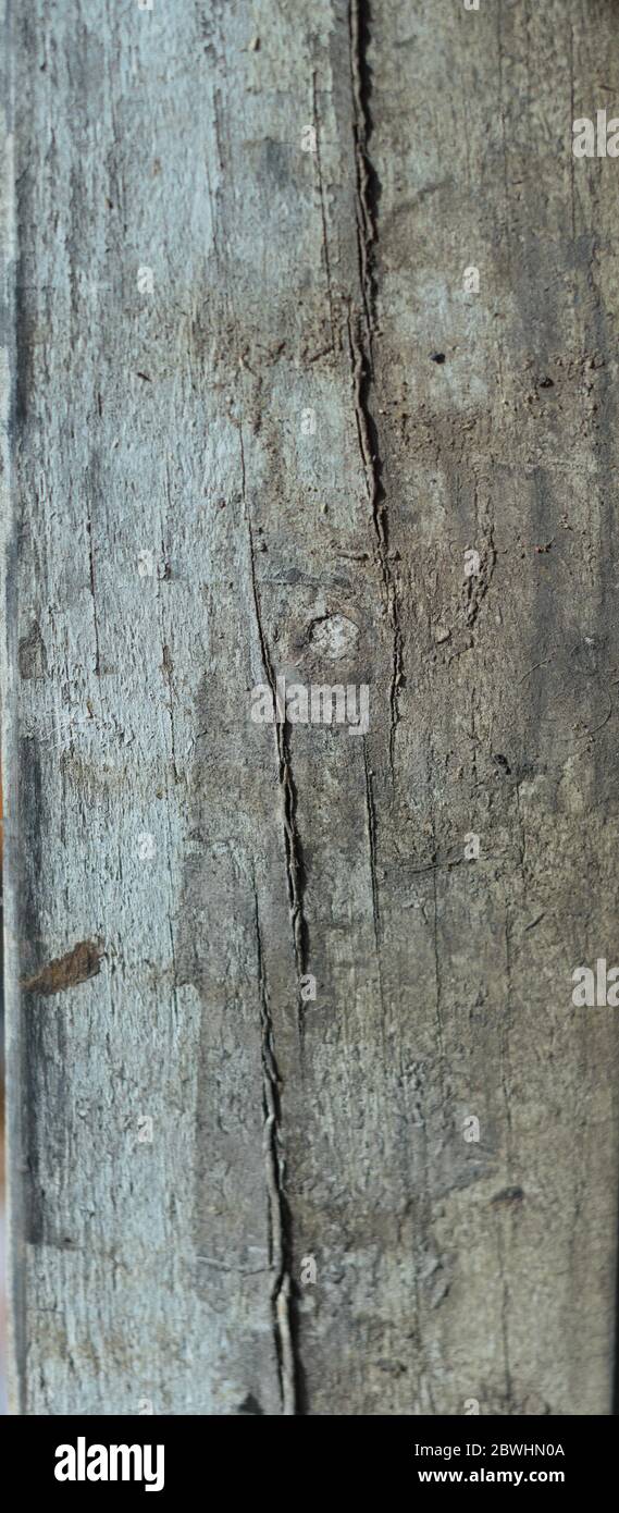 Vecchio legno afflitto con vecchia vernice Foto Stock